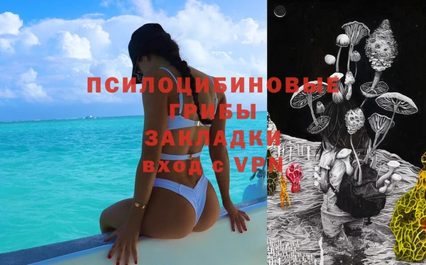 сатива Армянск
