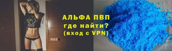 сатива Армянск