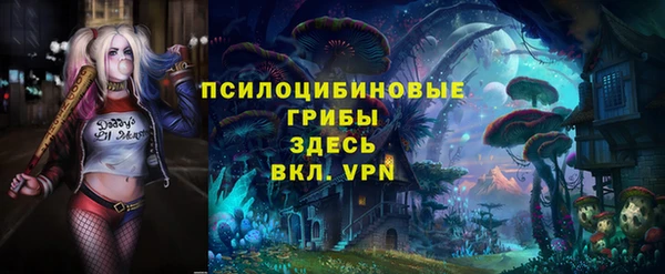 сатива Армянск
